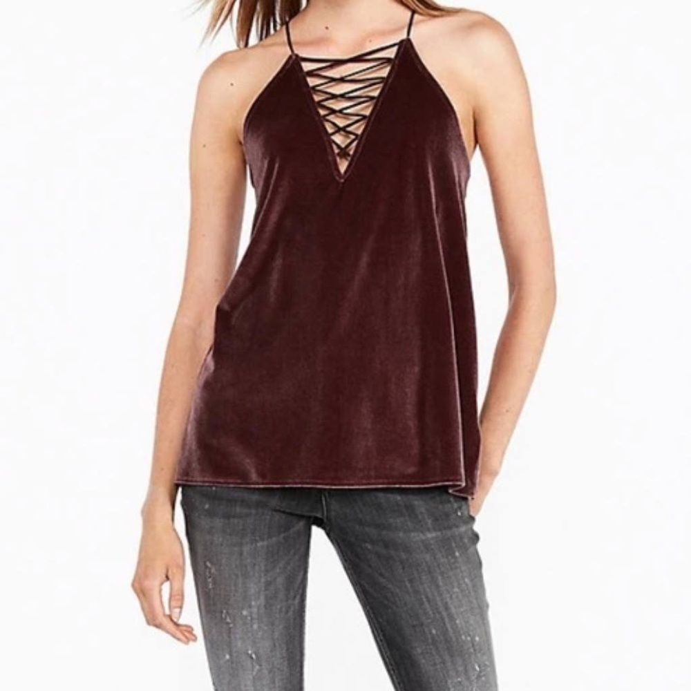 Express Velvet Top